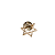 Broche Bóton Estrela de Davi  Dourado 10 unid - Imagem 1