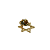 Broche Bóton Estrela de Davi  Dourado 10 unid - Imagem 3