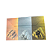Envelope OFERTA OURO, PRATA E BRONZE 100 unidades - Imagem 2