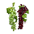1 Cacho Gigante De Uvas Artificiais De Silicone Artificial 35 cm - Imagem 1