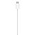 Carregador MagSafe - Imagem 3