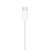 Apple EarPods (USB-C) ․ - Imagem 5