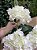 Buquê de Hortênsia Branco x5 - Imagem 2