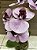 Arranjo de Orquídea Silicone Lilás com Roxo - Imagem 3