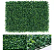 Kit 6 Placas de Buchinho Verde 60 x 40 cm - Jardim Vertical / Muro inglês - Imagem 1