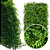 Placa de Mini Samambaia Verde 60 x 40 cm - Jardim Vertical / Muro inglês - Imagem 1