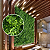 Kit 4 Placas de Mini Samambaia Verde 60 x 40 cm - Jardim Vertical / Muro inglês - Imagem 8
