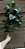 Galho de Folhagem Ruscus - Imagem 3