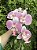 Galho de Orquídea Rosa Silicone - Imagem 2