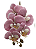 Galho de Orquídea Rose Rajada Silicone P 70 cm - Imagem 1