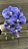 Galho de Orquídea Roxa Silicone P 70 cm - Imagem 5