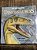 DINOSSAUROS - Imagem 1