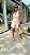 Short Rebeca - Imagem 4
