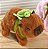 Capivara andante - Imagem 1
