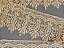 GP012 - 7,50cm x 13,70m | Renda Guipure 100% Poliéster Marrom Claro - Imagem 5