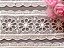 GP058 - 4,70cm x 10,00m | Renda Guipure Entremeio 100% Poliéster Marfim - Imagem 2