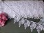 GP039 - 5,00cm x 13,70m | Renda Guipure 100% Poliéster Branco - Imagem 2