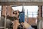 Furadeira 1/2' 650W Gsb 13 Re 220V Bosch - Imagem 6