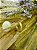 FALSO PIERCING THASSIA GOLD - Imagem 1
