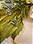 FALSO PIERCING GOLD RAINBOW WAY - Imagem 1