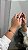 bracelete pedra oval marrom gold - Imagem 2