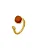 Anel Resinado - Imagem 1
