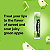 Lip Balm ChapStick Moisturizer Green Apple - Imagem 3