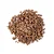 Proteína de Soja Natural - 500g - Imagem 1
