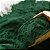 Spirulina em pó 200g - Imagem 1