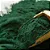 Spirulina (a granel) - Imagem 1