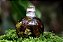 Óleo da Deusa - 50ml - Imagem 1
