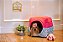 Cama Iglu e Toca Para Cachorro  Luxo Rosa Borboleta - Imagem 9
