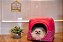 Cama Iglu e Toca Para Cachorro Luxo  Rosa Casinha - Imagem 6