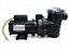 MOTOBOMBA SIBRAPE  MONO BPF 075 HE 3/4 CV C/PRE-FILTRO - Imagem 2
