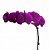 Orquídea Roxa - Imagem 1