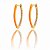 Argola oval neon cravejada - Imagem 6