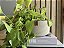 CESTO PLANTA PENDENTE - Imagem 7