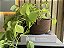 CESTO PLANTA PENDENTE - Imagem 1