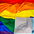 Bandeira do orgulho LGBTQIAP+ - Imagem 2