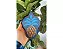 FARM CANGA PRAIANA LENÇO MAGIA TROPICAL - Imagem 4