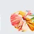 FARM ETC SCRUNCHIE FLORAL BAHIA - Imagem 2