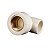Joelho 90º de Transição Aquatherm CPVC 22X1/2'' Tigre - Imagem 2