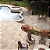 Travertino French Pattern Classic ( preço- 0.74m² ) - Imagem 3