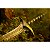 Espada Decorativa Ferroada Sting Senhor Dos Anéis Hobbit Frodo/Bilbo + Suporte de Parede - Imagem 14