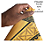 Bandeira Flâmula Casa Tully Game Of Thrones - Imagem 4
