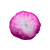 Pompom Pelúcia Matizado 8cm com Elástico - Imagem 3