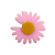 Aplique de Acrílico Flor Margarida - Imagem 4