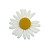 Aplique de Acrílico Flor Margarida - Imagem 3