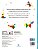 Tangram - Minhas Peças Divertidas - Imagem 2