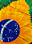 Canga de Praia Brasil Tropical - Imagem 1